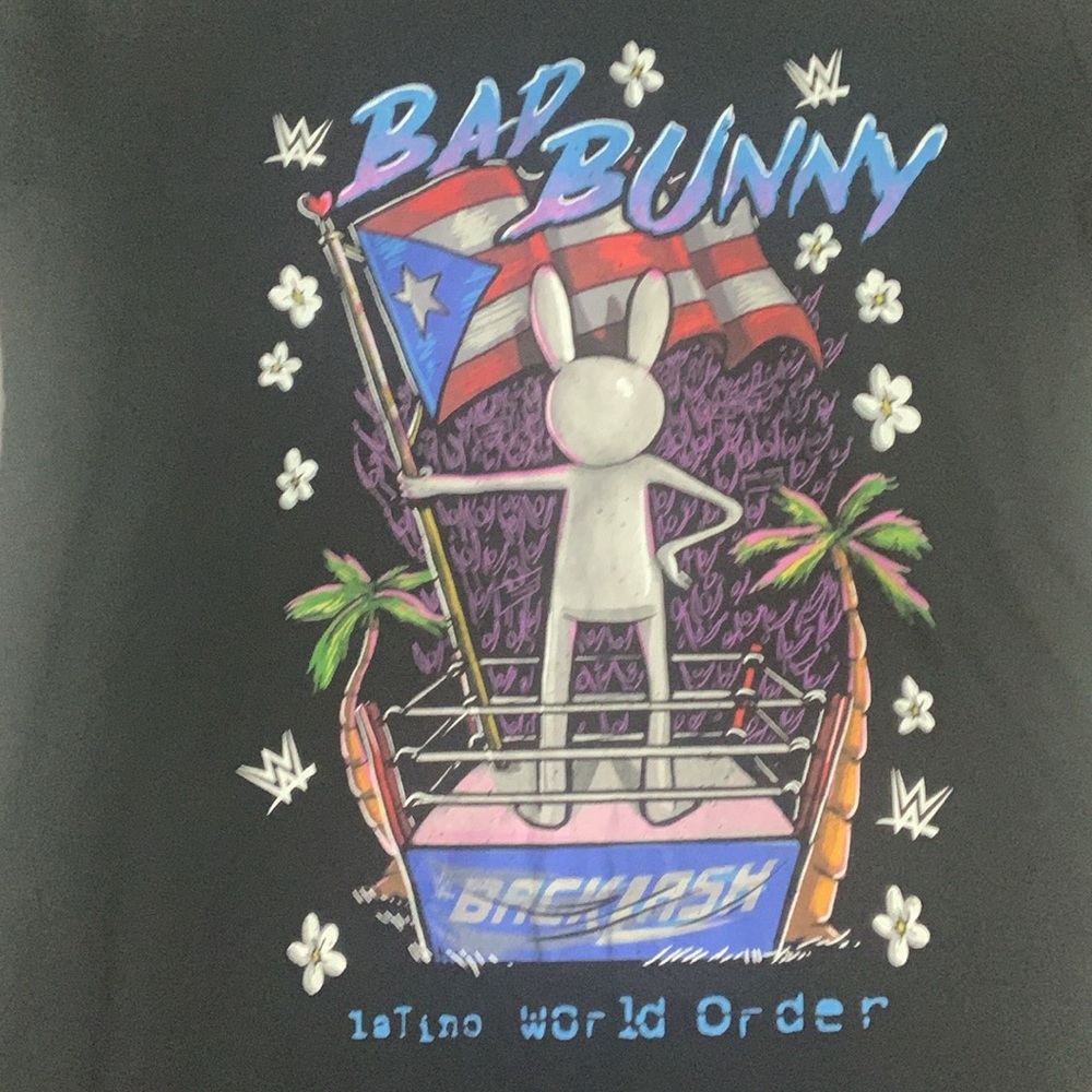 WWE - Picture 4 of 9